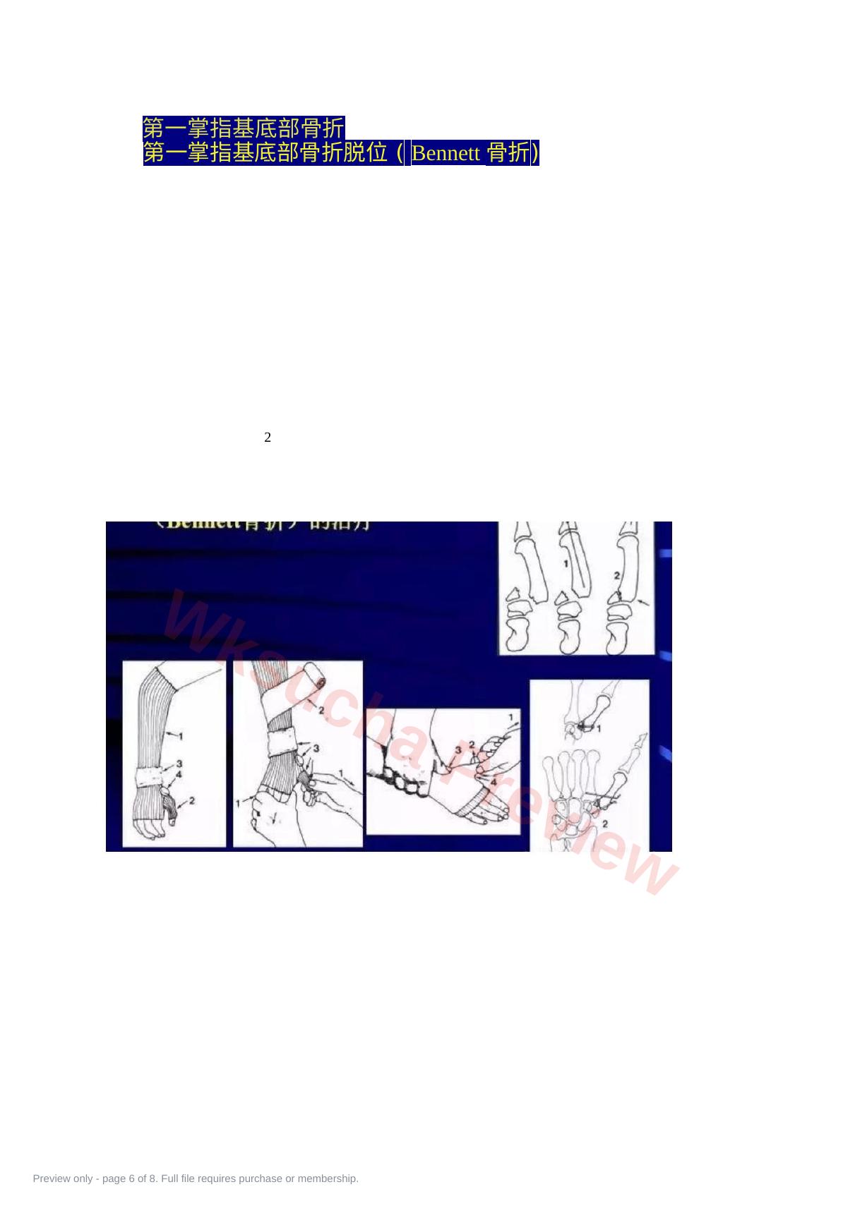 预览第 6 页