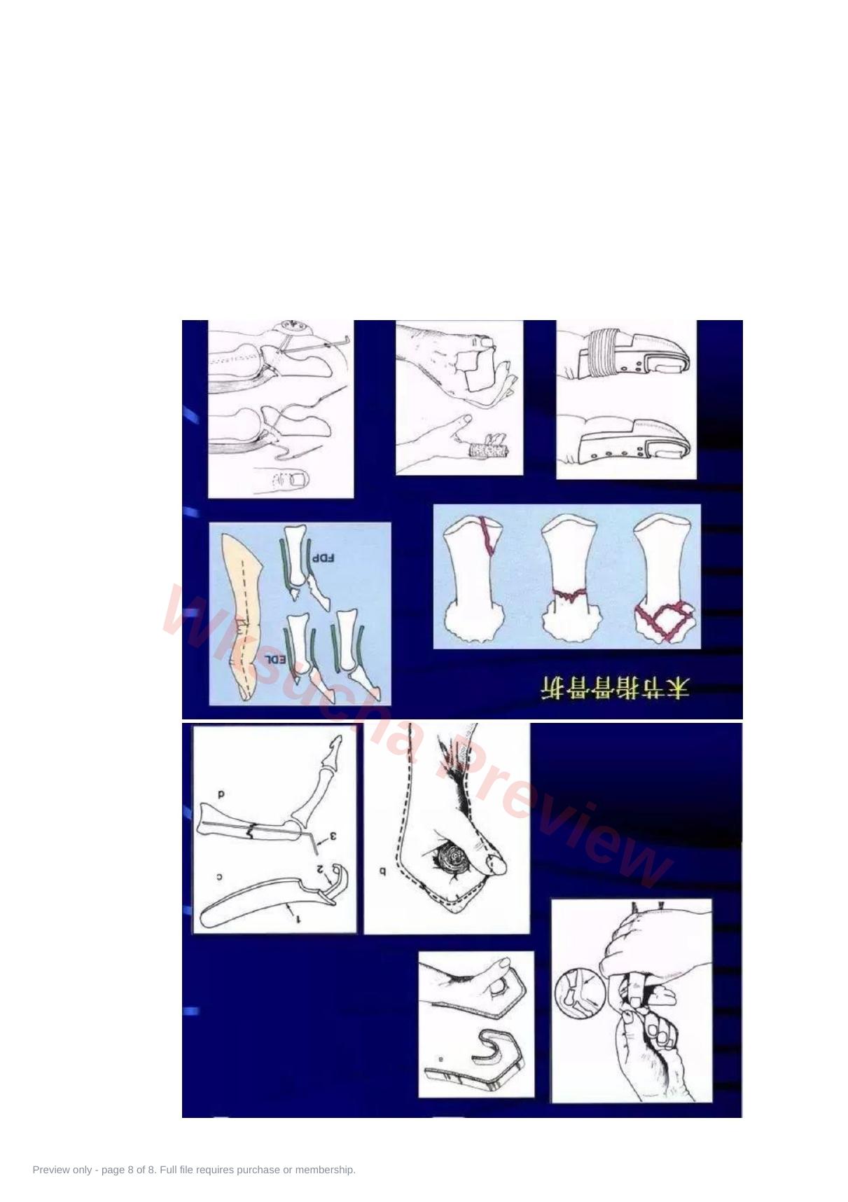 预览第 8 页