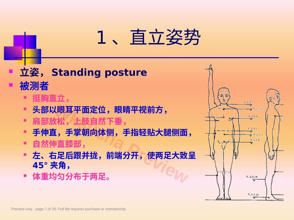 预览第 7 页
