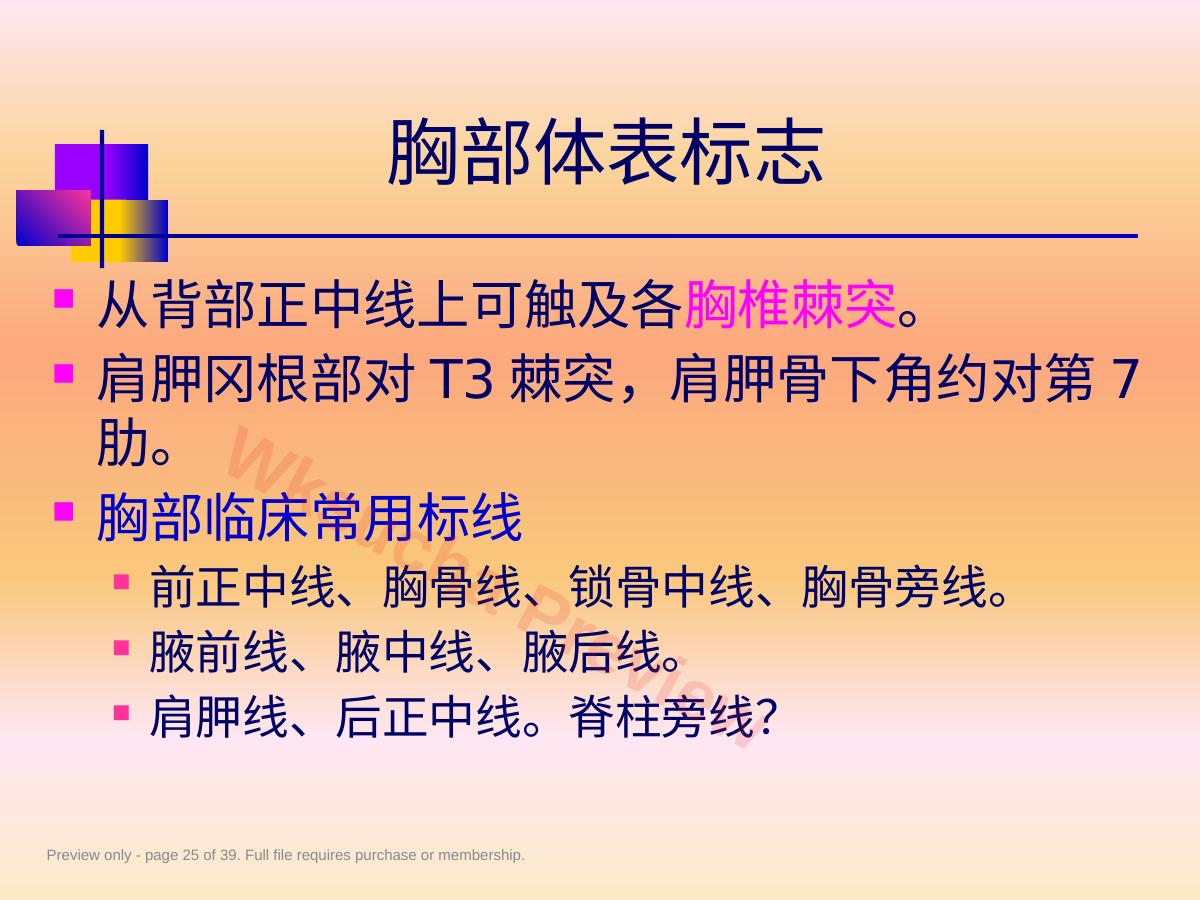 预览第 25 页