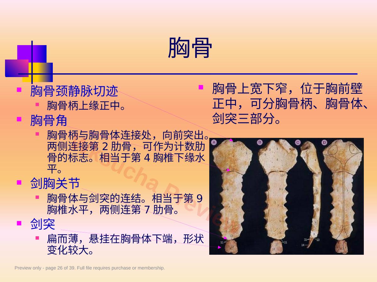 预览第 26 页
