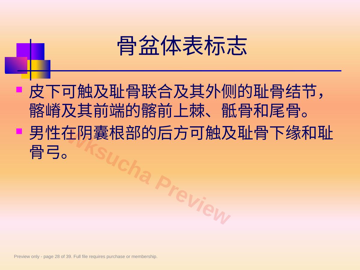 预览第 28 页