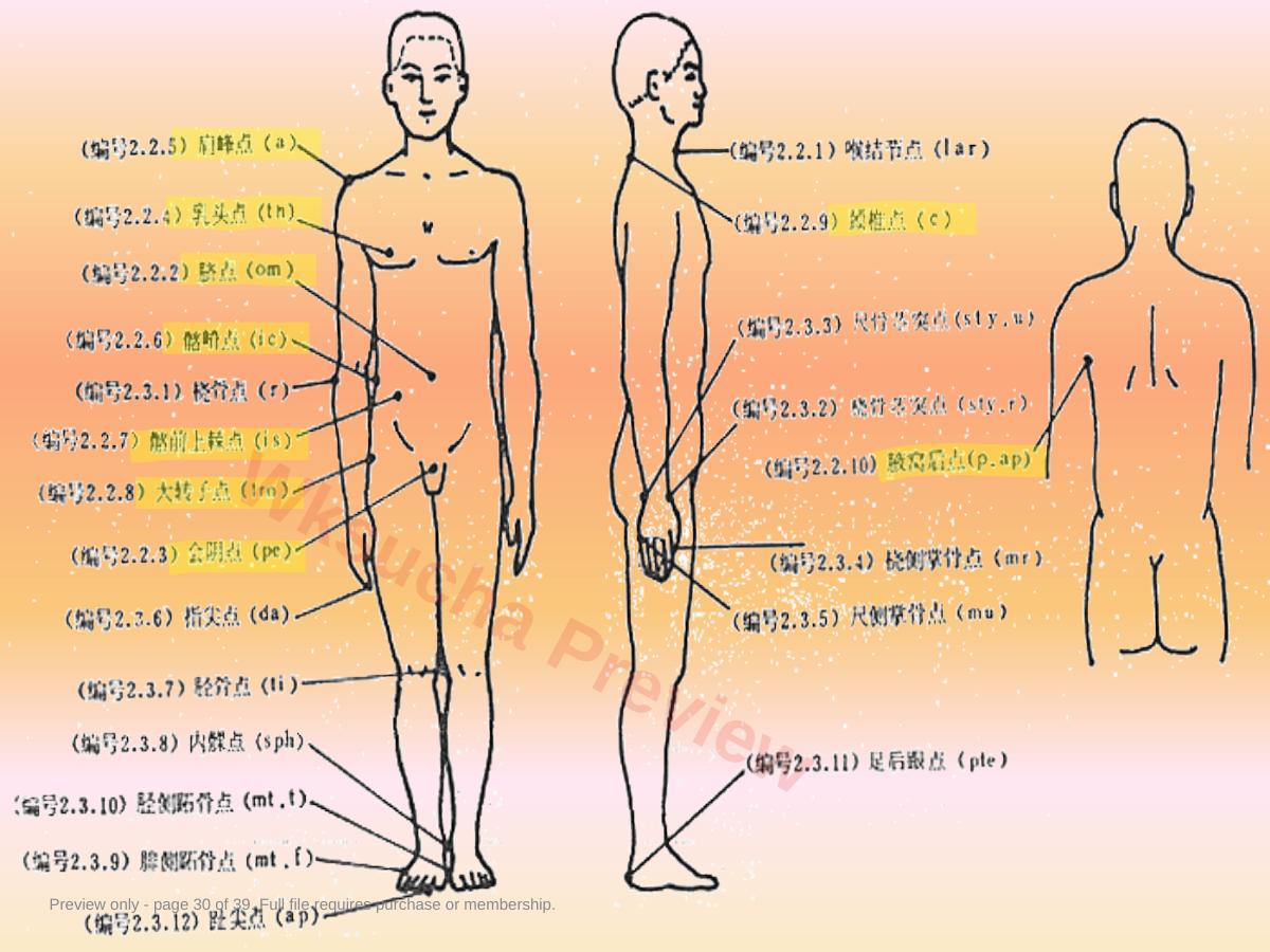预览第 30 页