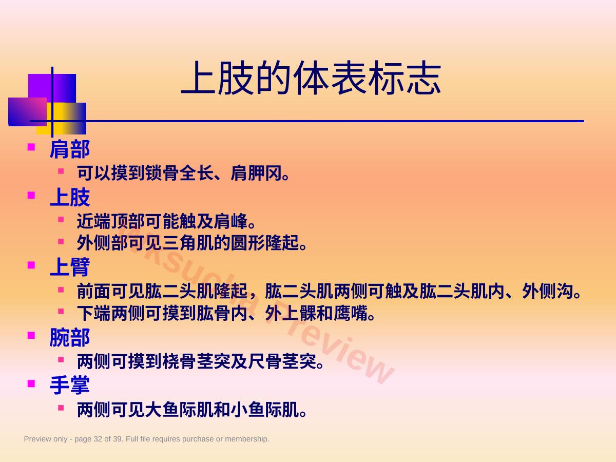 预览第 32 页