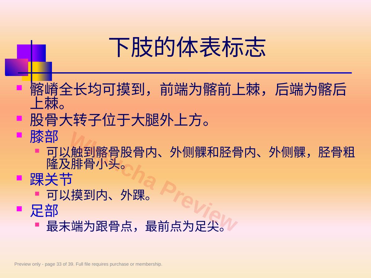 预览第 33 页