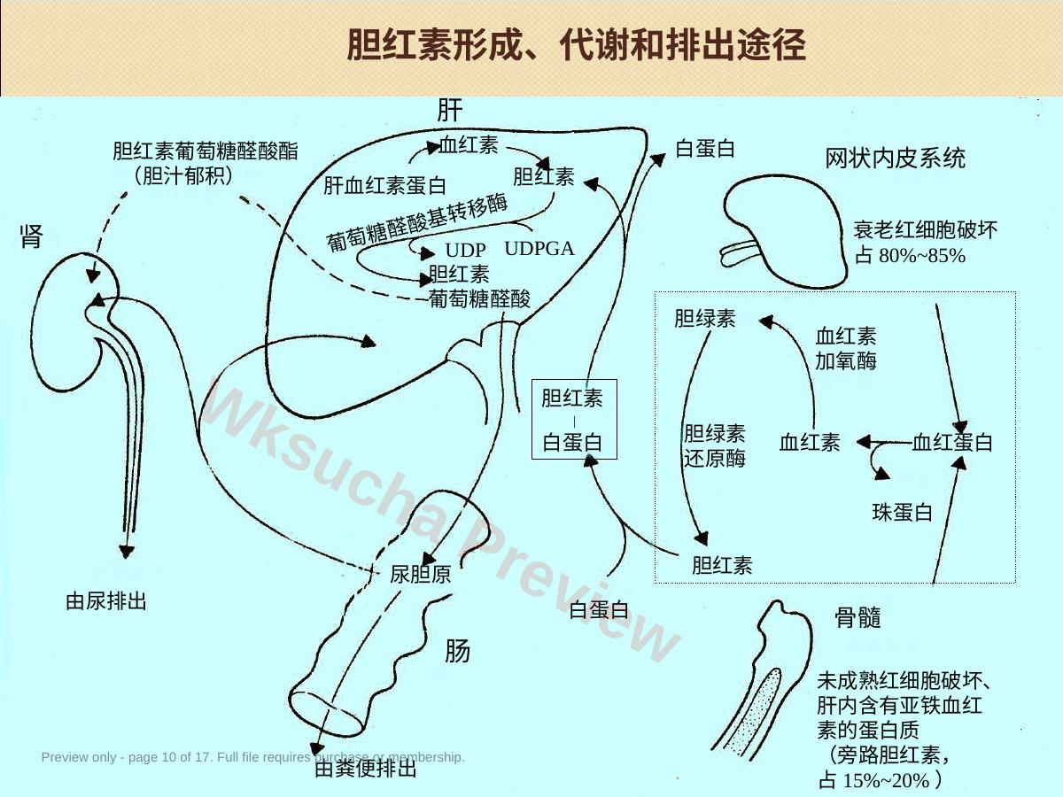 预览第 10 页