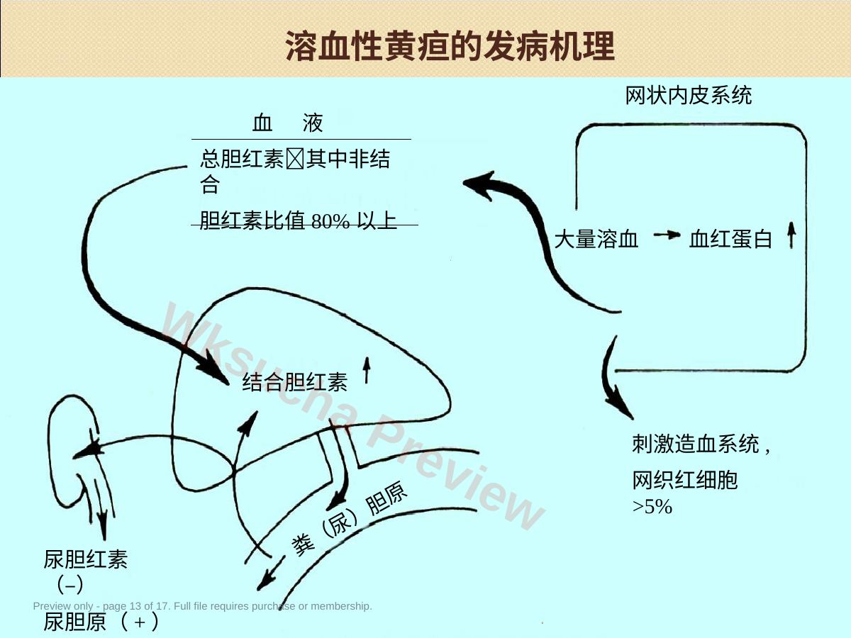 预览第 13 页