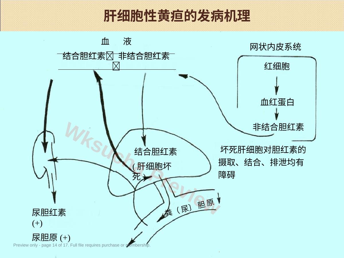 预览第 14 页