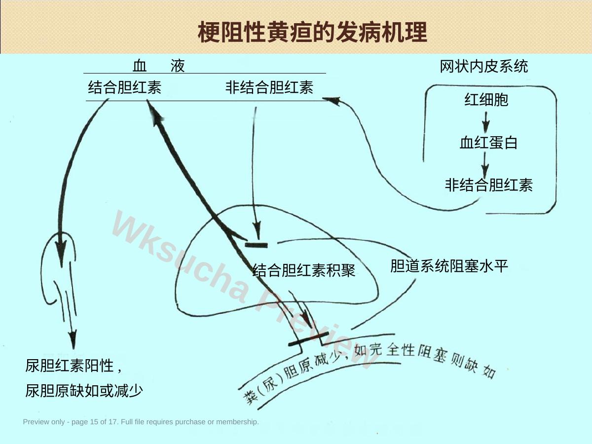 预览第 15 页