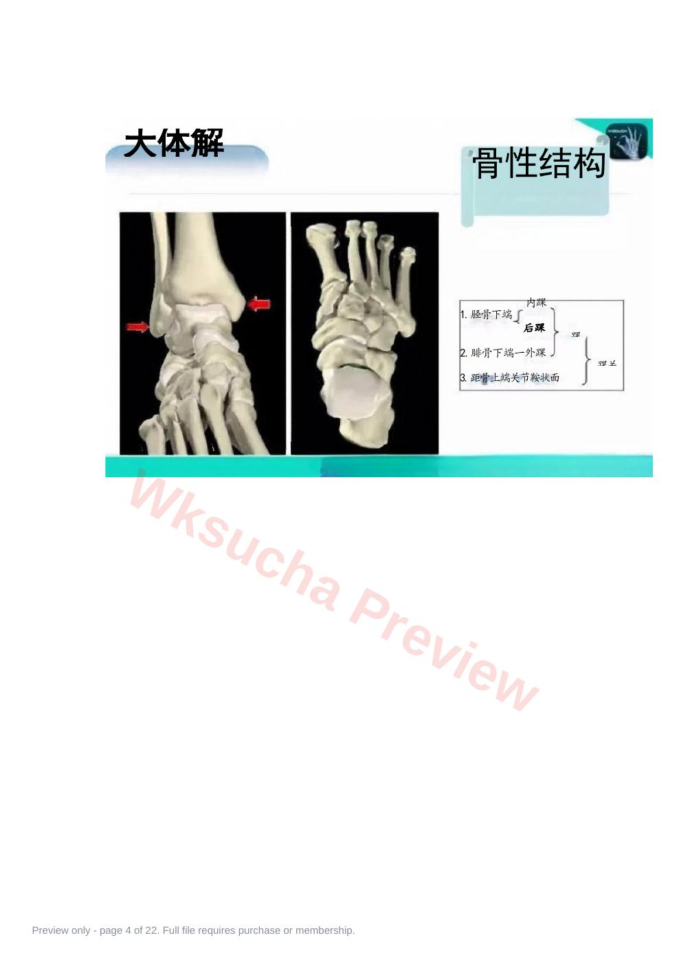 预览第 4 页