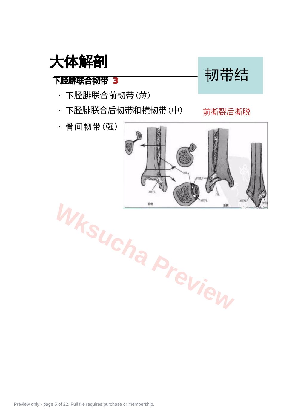 预览第 5 页
