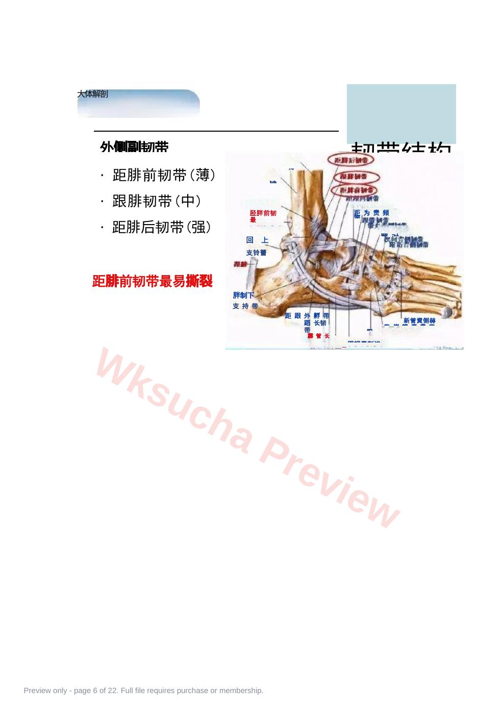 预览第 6 页