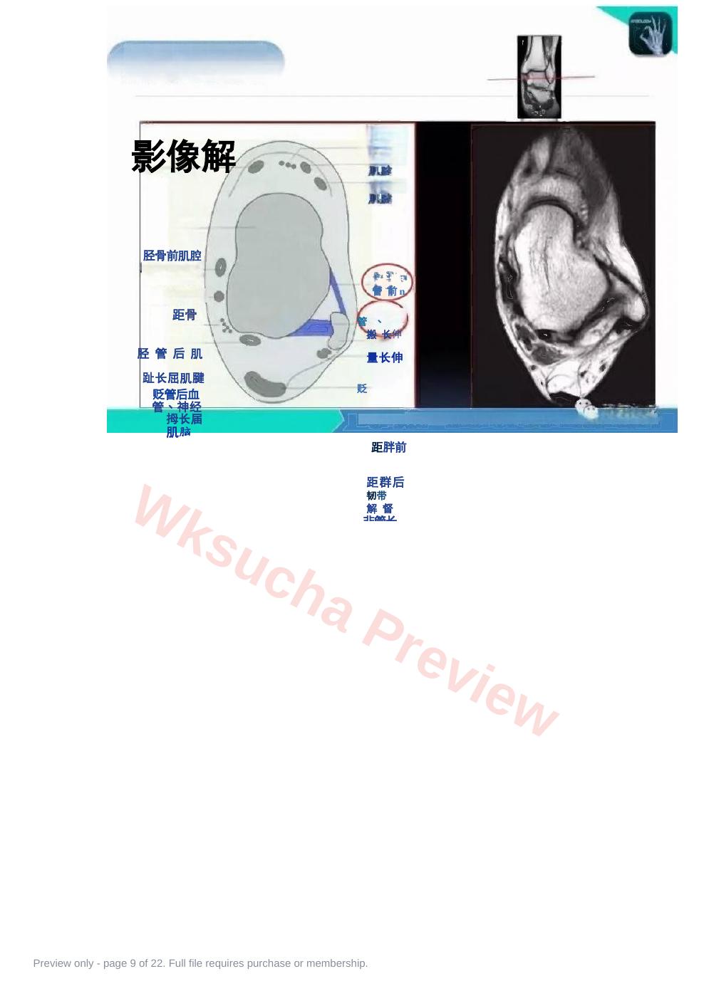 预览第 9 页