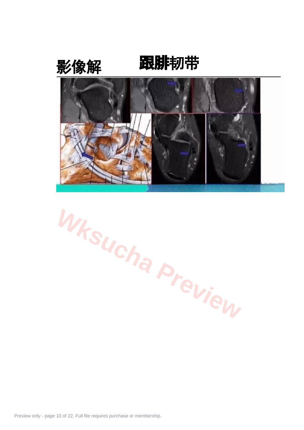 预览第 10 页