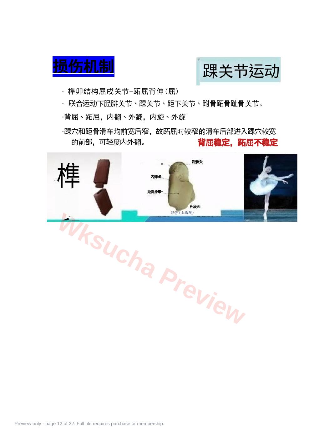 预览第 12 页