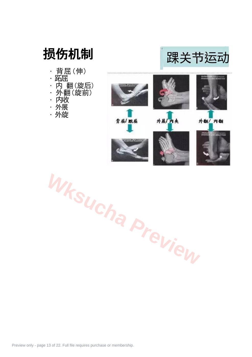 预览第 13 页
