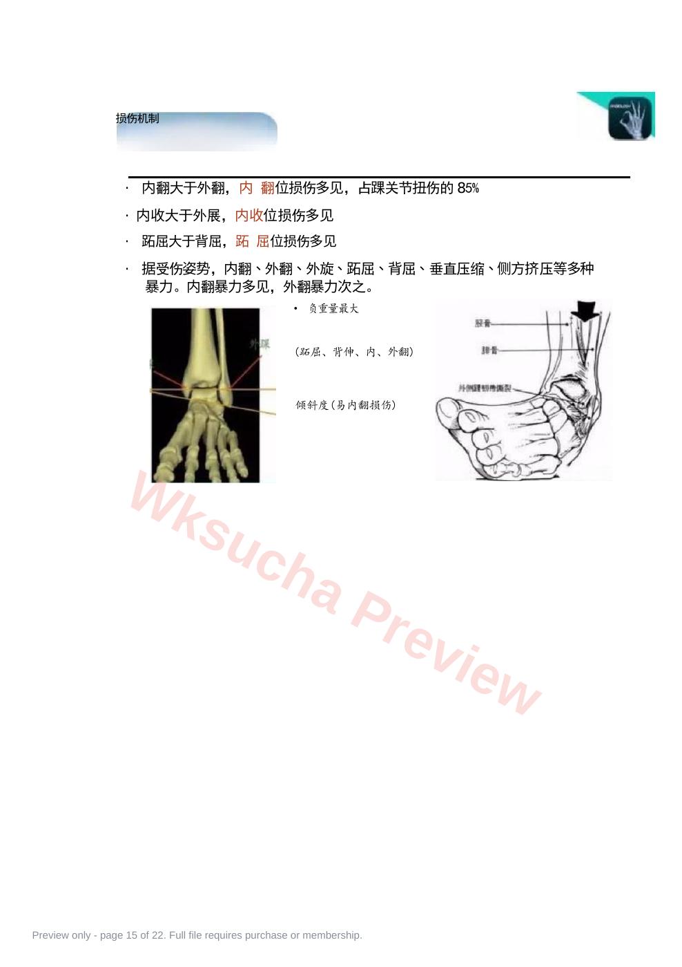 预览第 15 页