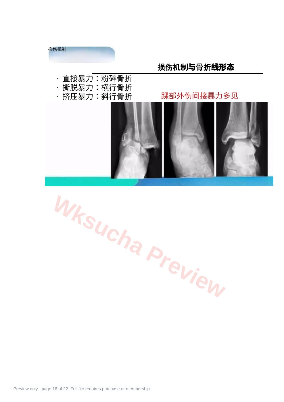 预览第 16 页
