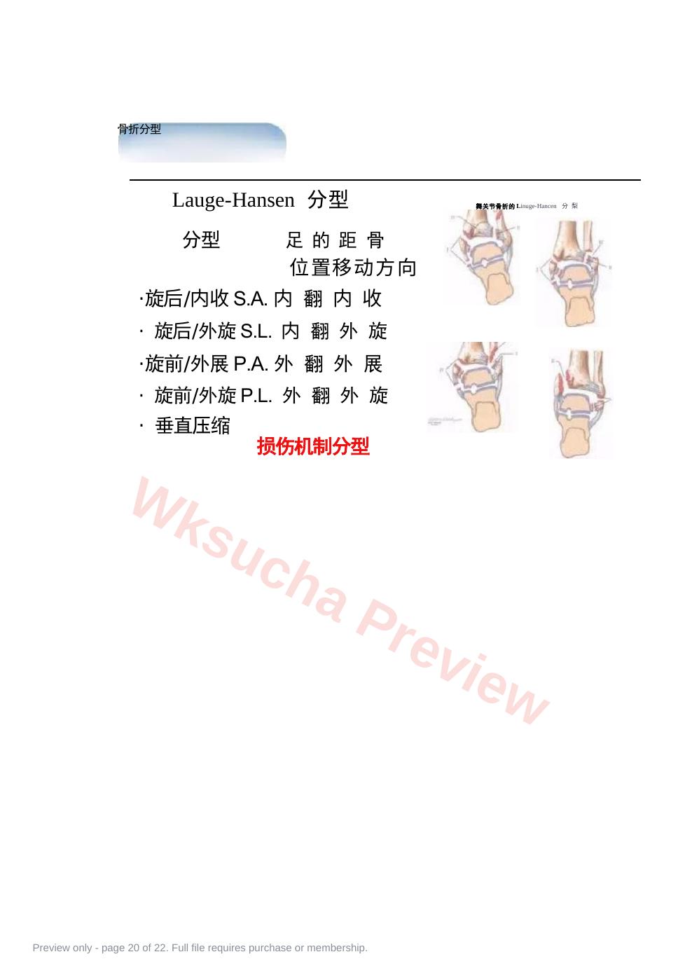 预览第 20 页