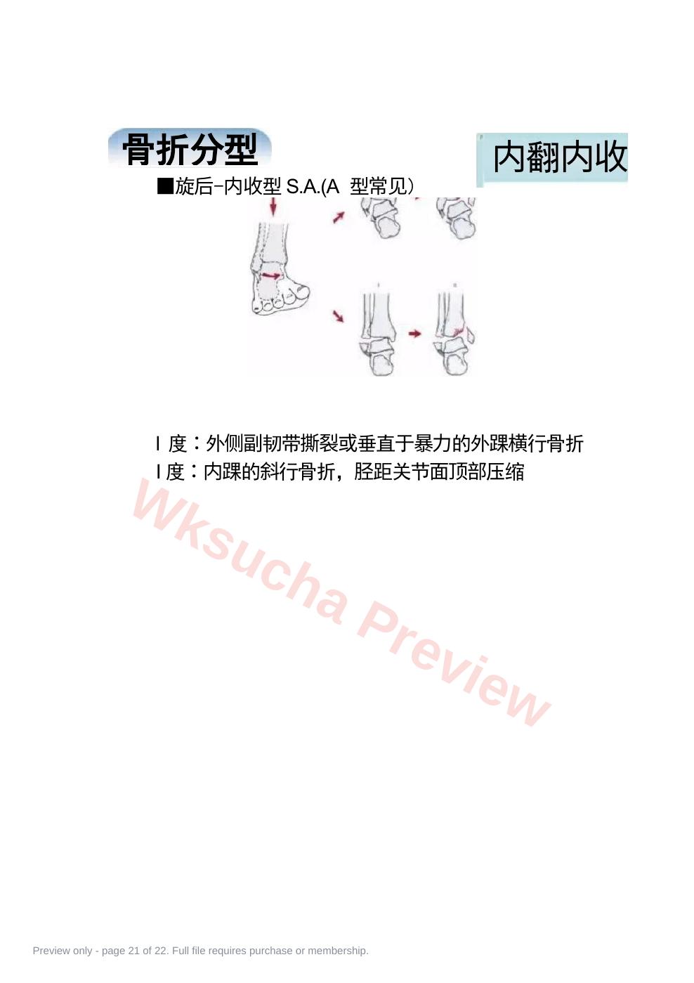 预览第 21 页