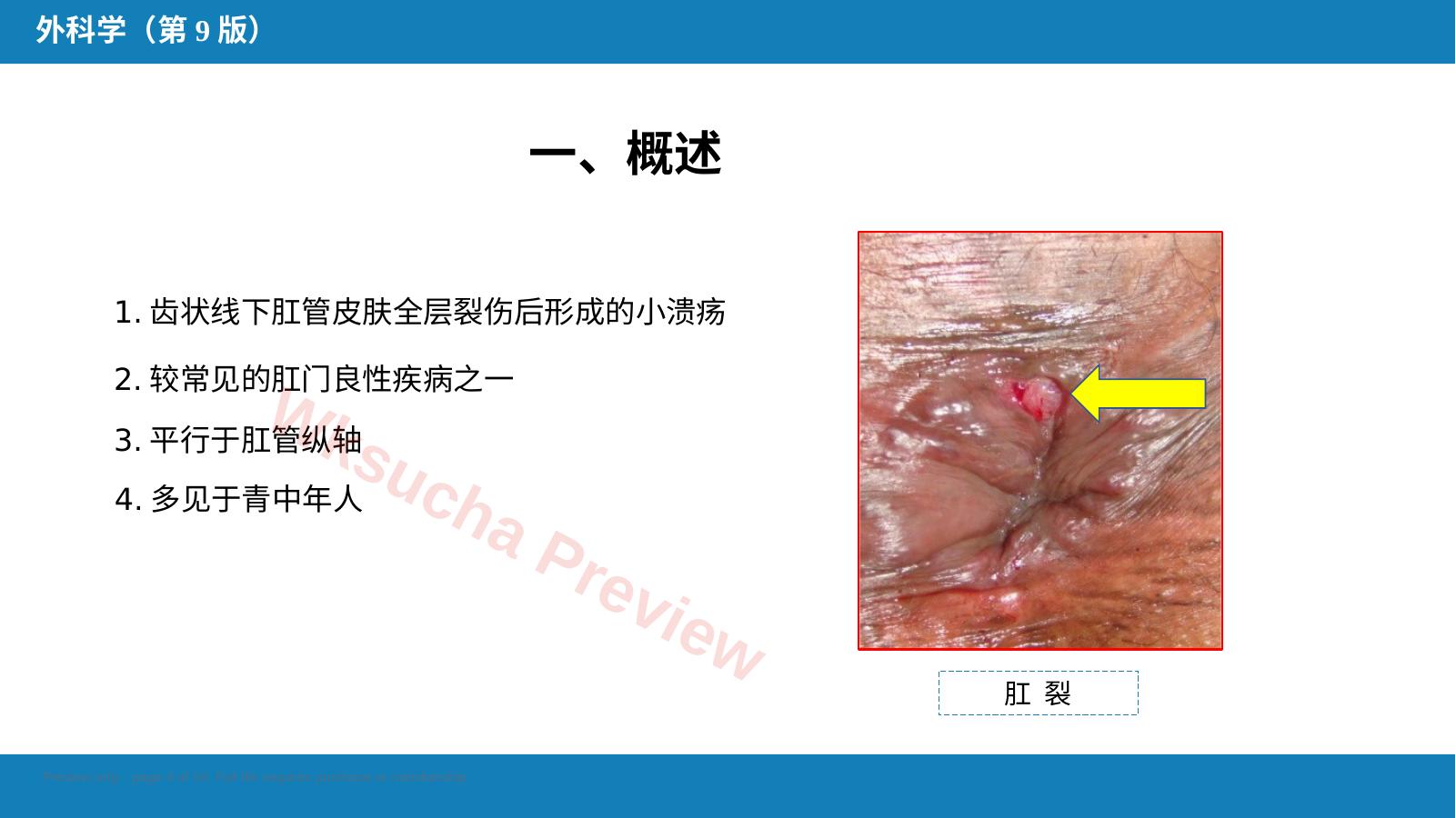 预览第 4 页