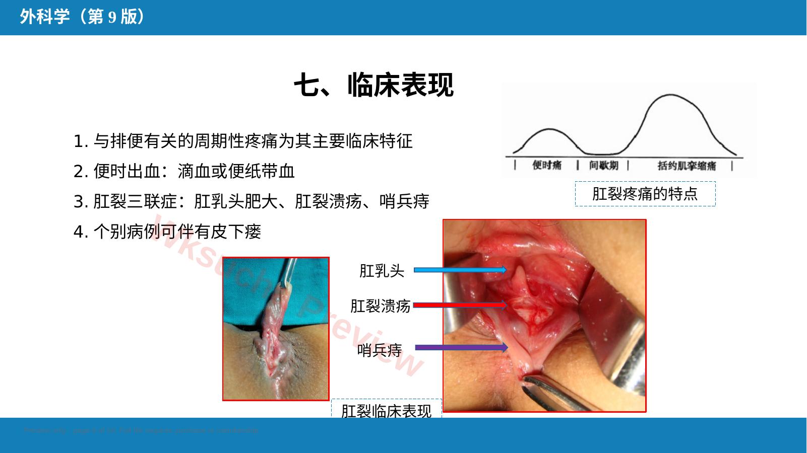 预览第 6 页
