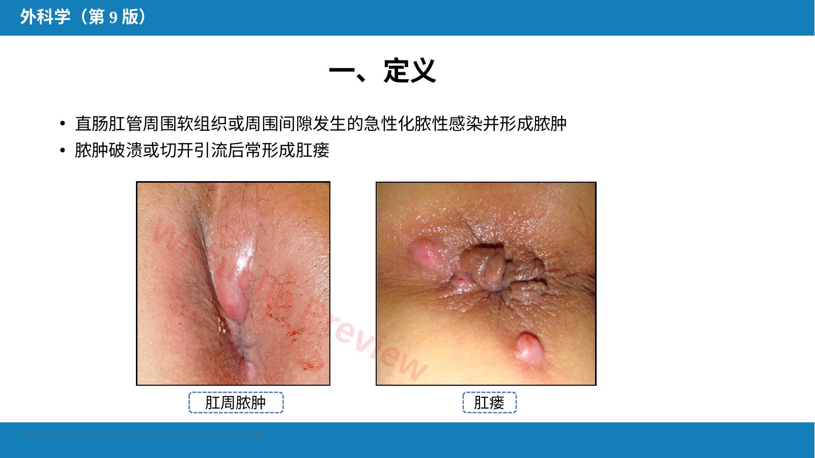 预览第 10 页