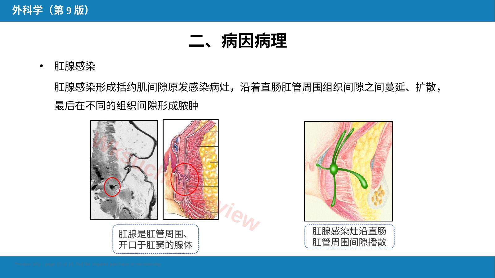 预览第 12 页