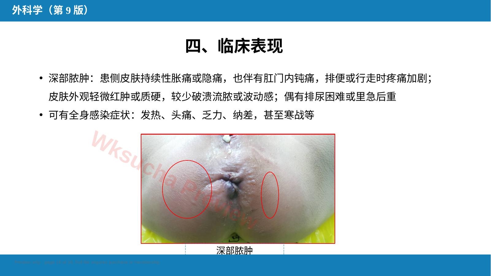 预览第 16 页