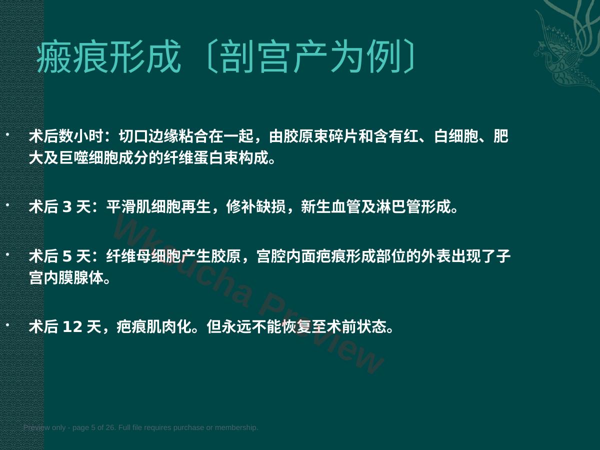 预览第 5 页