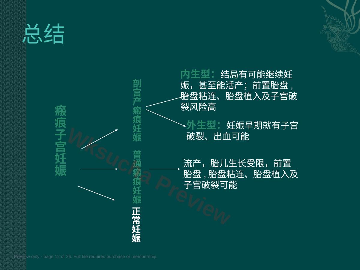 预览第 12 页