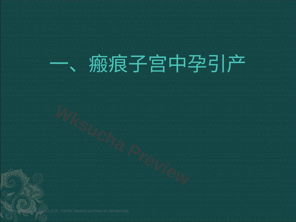 预览第 13 页