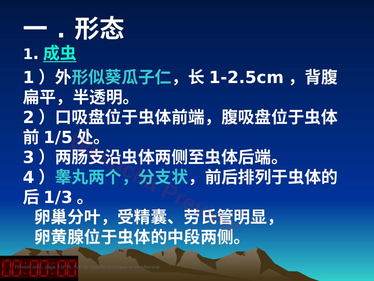 预览第 3 页