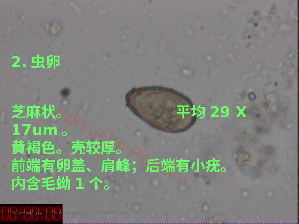 预览第 8 页