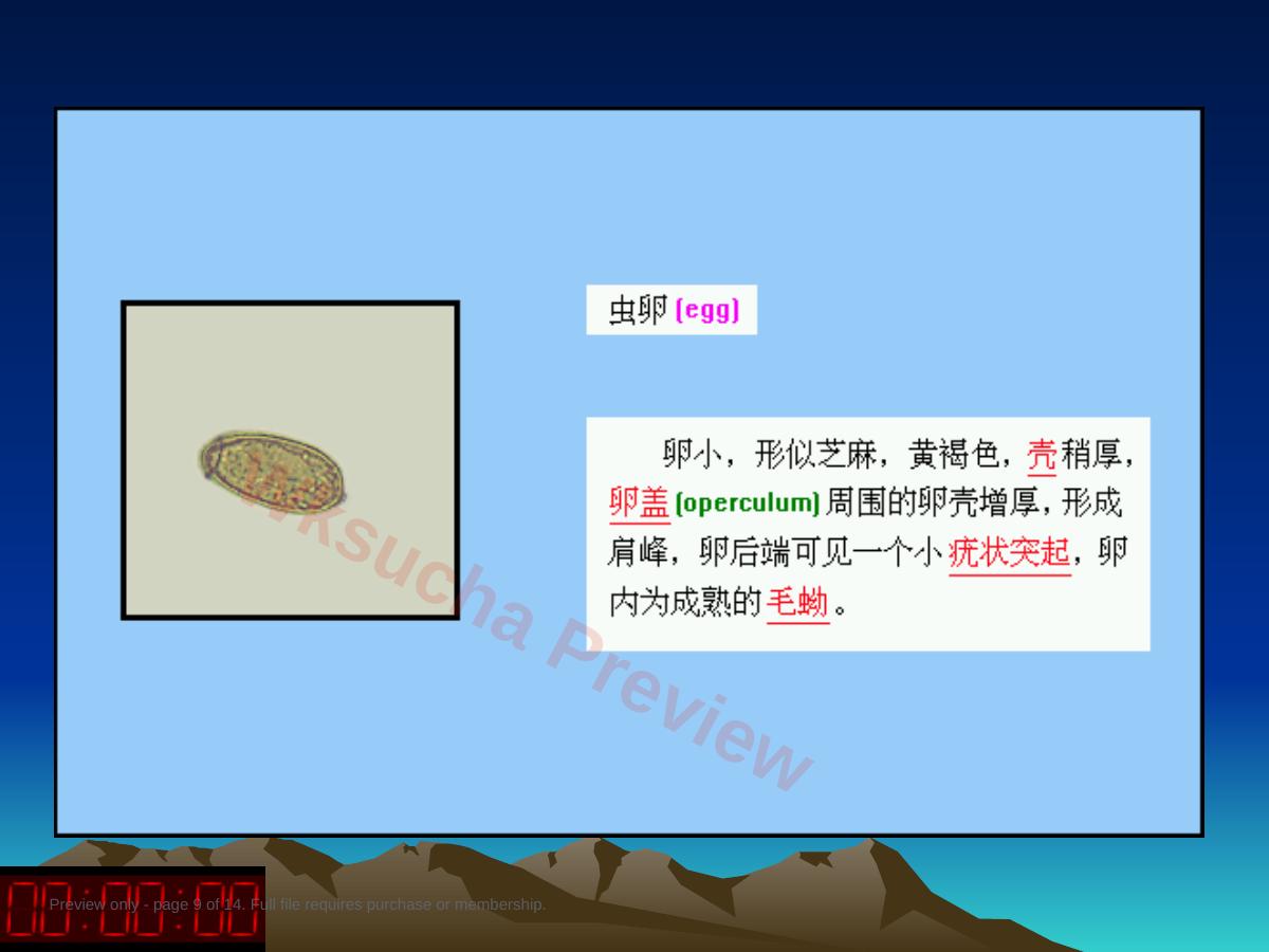 预览第 9 页