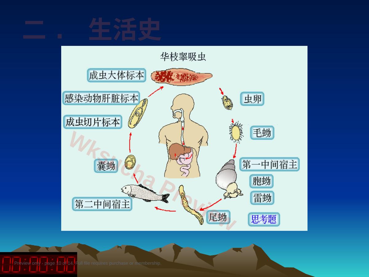 预览第 10 页