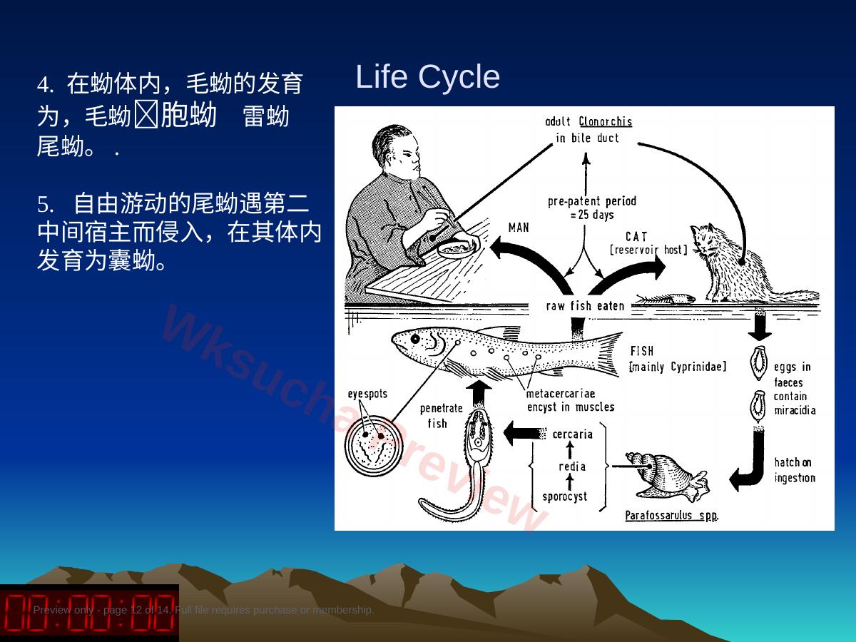 预览第 12 页