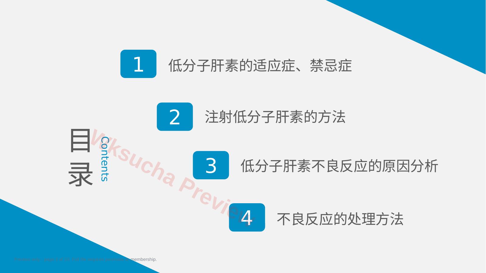 预览第 3 页