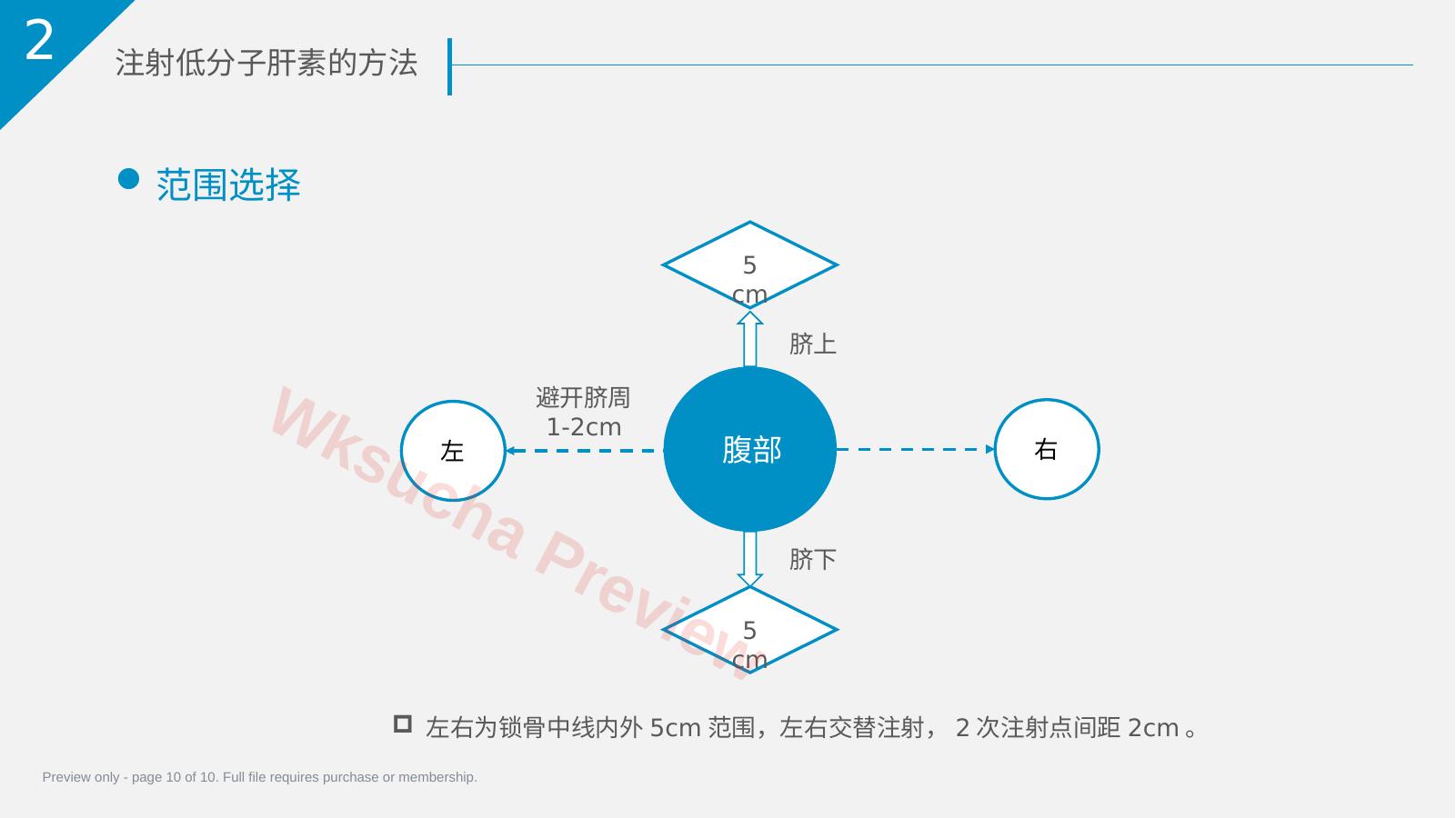 预览第 10 页
