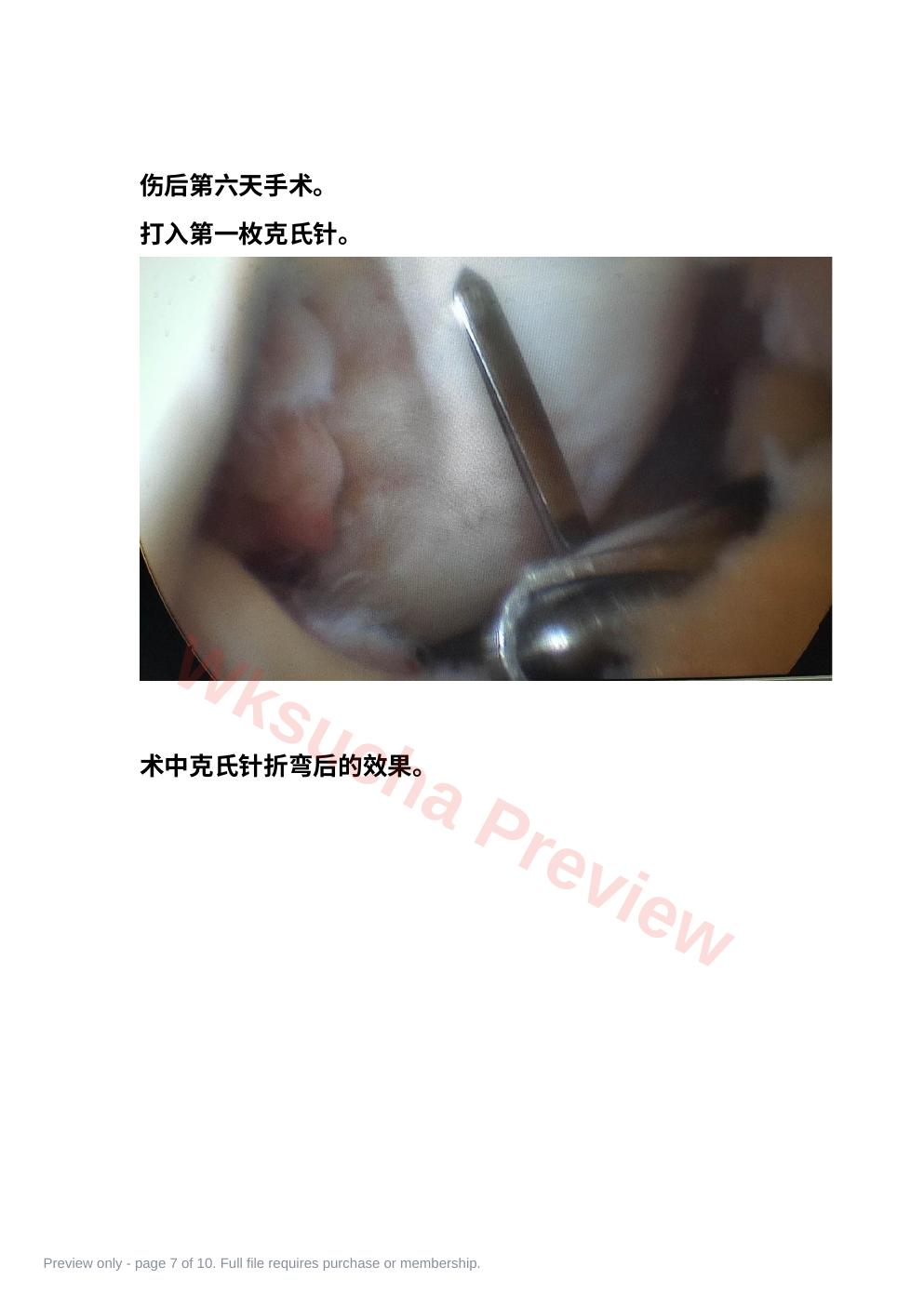 预览第 7 页