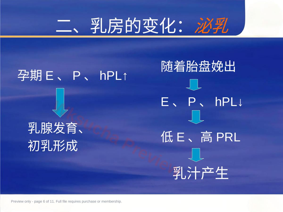 预览第 6 页