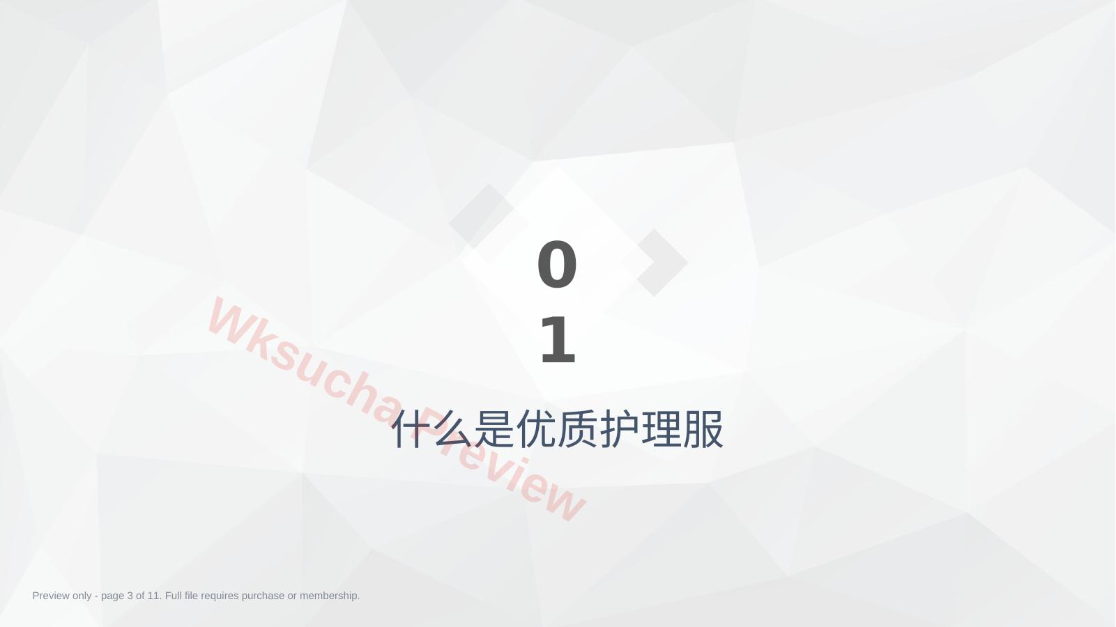 预览第 3 页