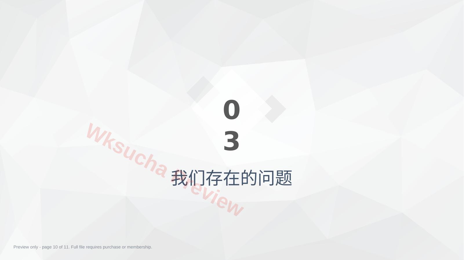 预览第 10 页