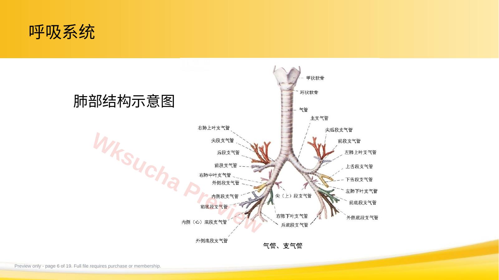 预览第 6 页