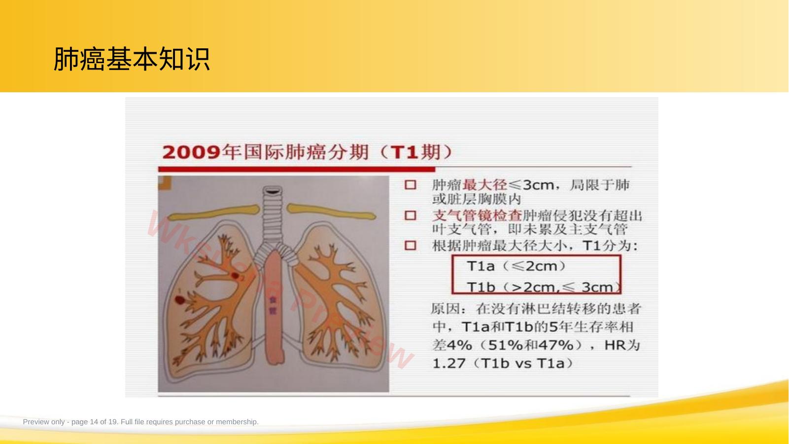 预览第 14 页