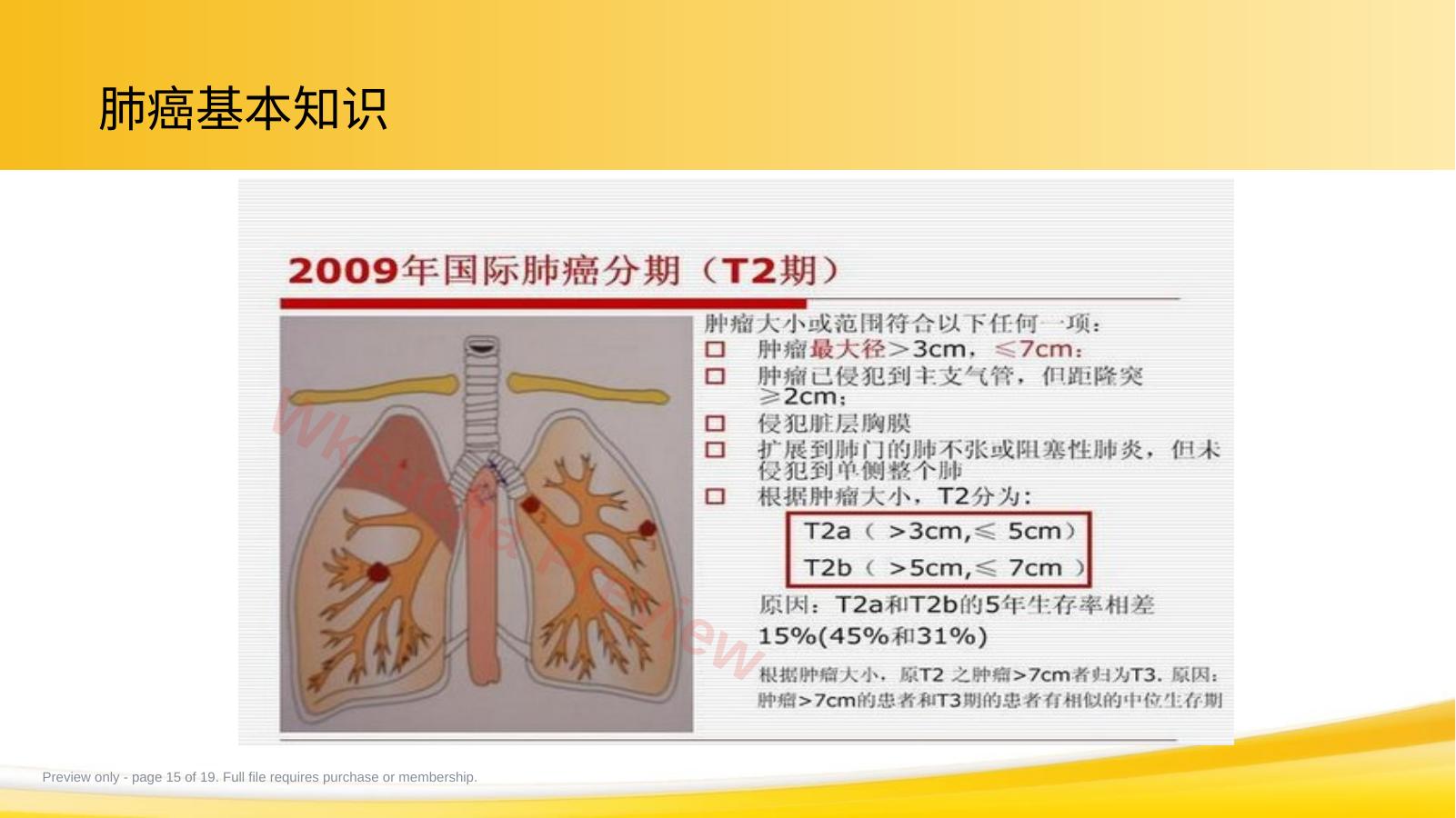 预览第 15 页