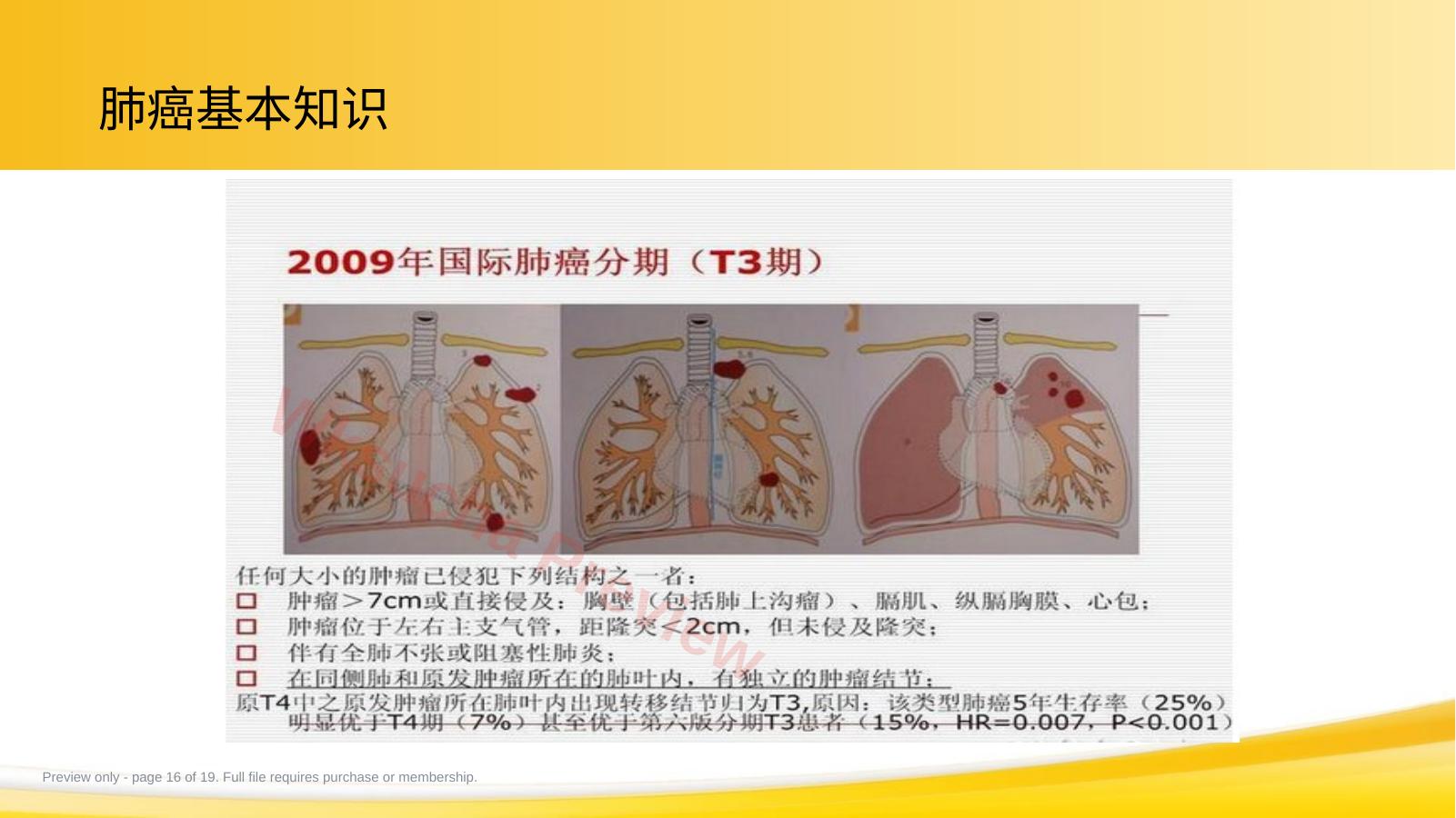 预览第 16 页