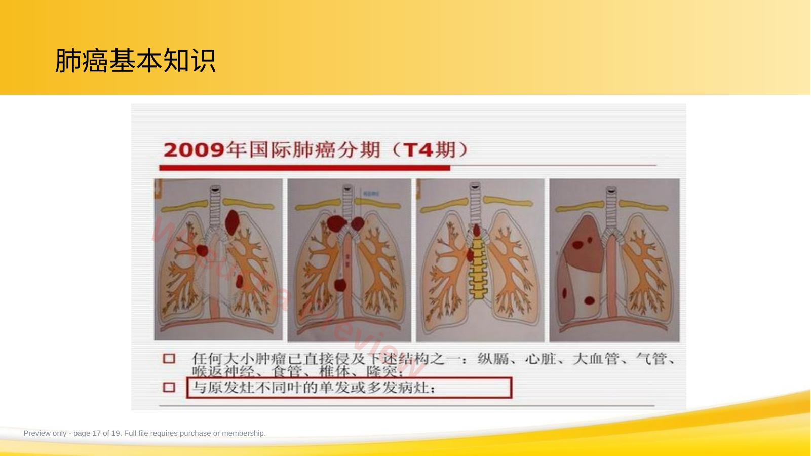 预览第 17 页