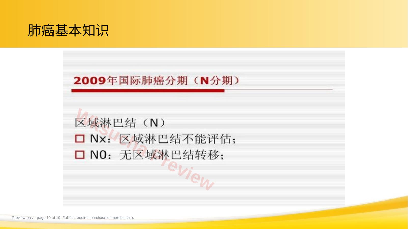 预览第 19 页