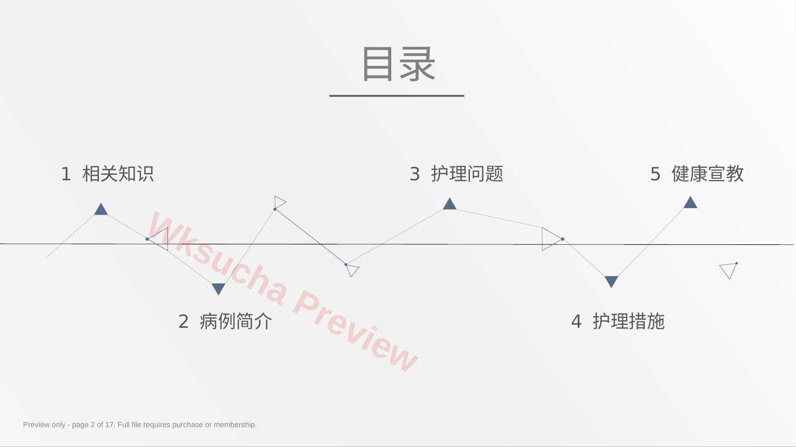 预览第 2 页